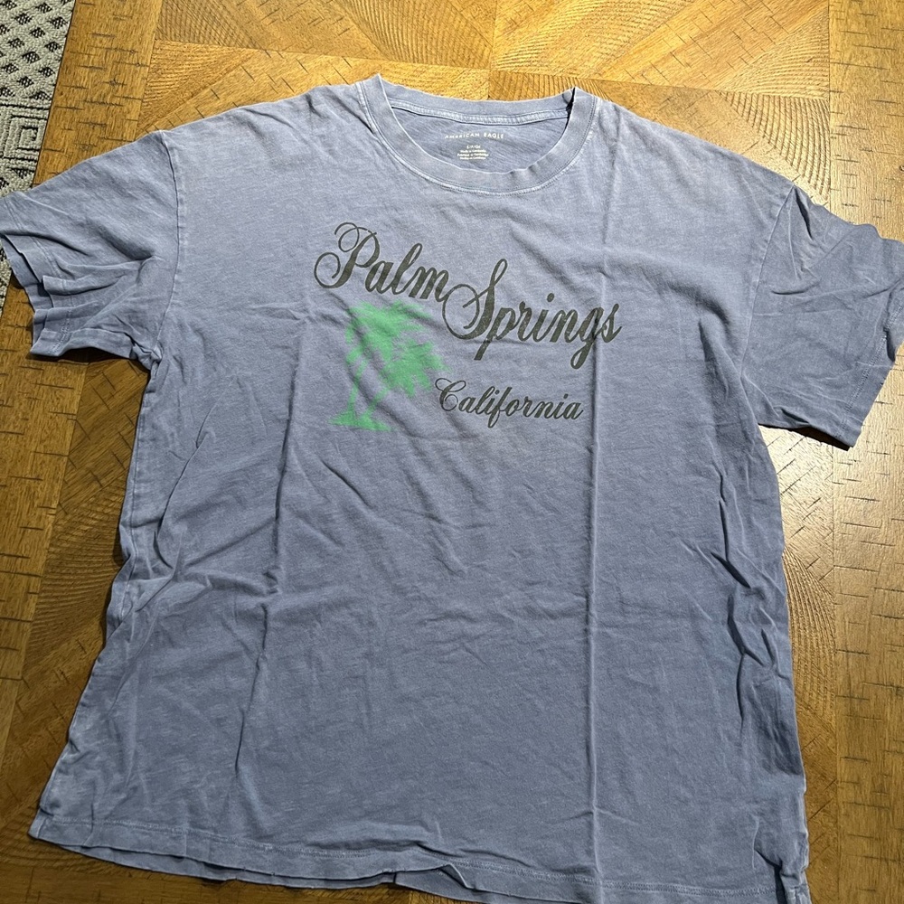 American Eagle Outfitters Palm Springs Tee - Light Blue